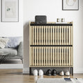 Modern Entry-way Shoe Cabinet